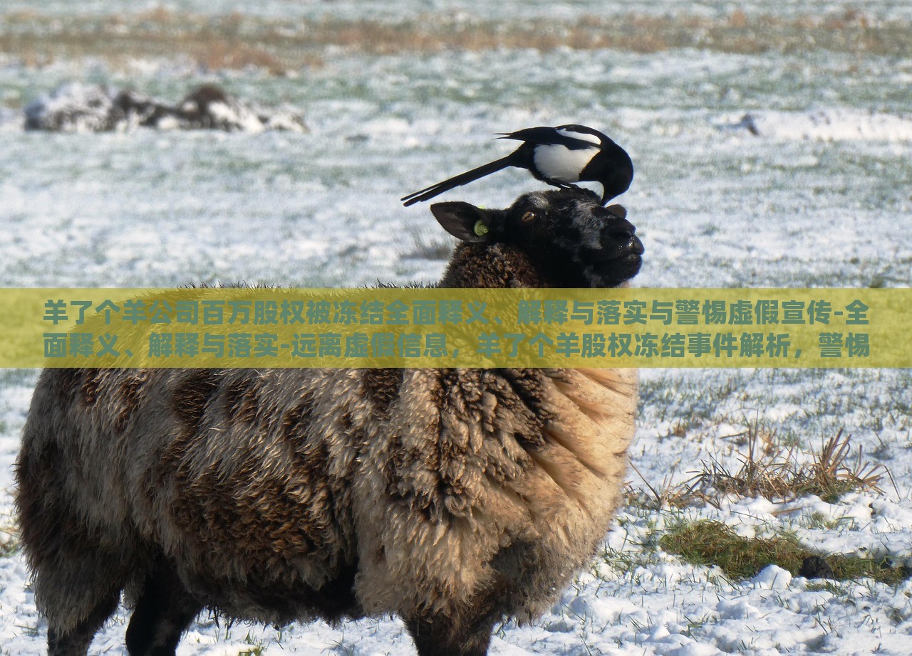 羊了个羊公司百万股权被冻结全面释义、解释与落实与警惕虚假宣传-全面释义、解释与落实-远离虚假信息，羊了个羊股权冻结事件解析，警惕虚假宣传风险