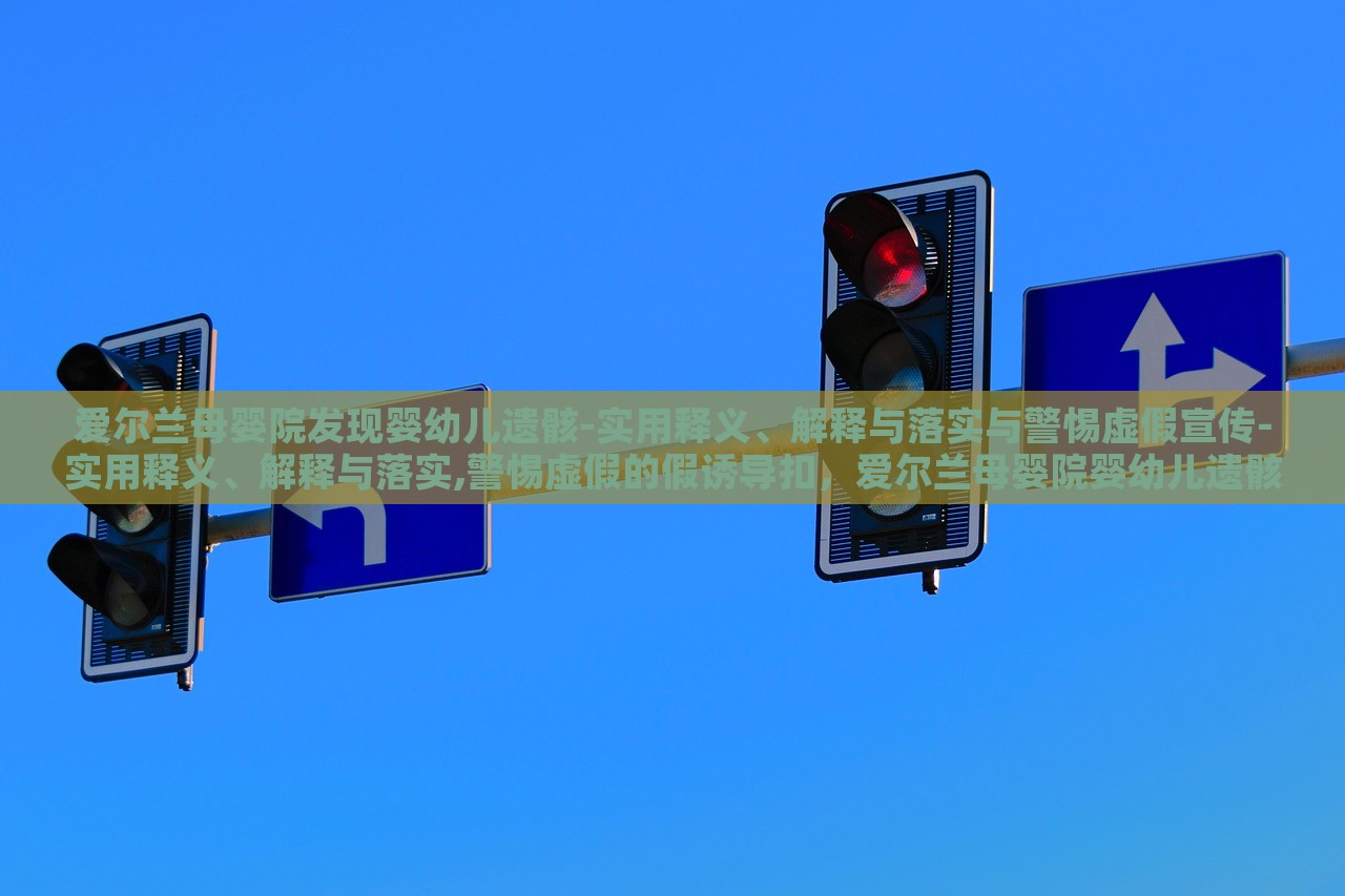 爱尔兰母婴院发现婴幼儿遗骸-实用释义、解释与落实与警惕虚假宣传-实用释义、解释与落实,警惕虚假的假诱导扣，爱尔兰母婴院婴幼儿遗骸事件，真相揭秘与虚假宣传警示