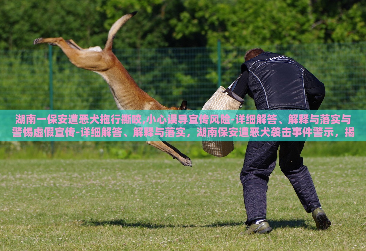 湖南一保安遭恶犬拖行撕咬,小心误导宣传风险-详细解答、解释与落实与警惕虚假宣传-详细解答、解释与落实，湖南保安遭恶犬袭击事件警示，揭秘虚假宣传风险与应对策略