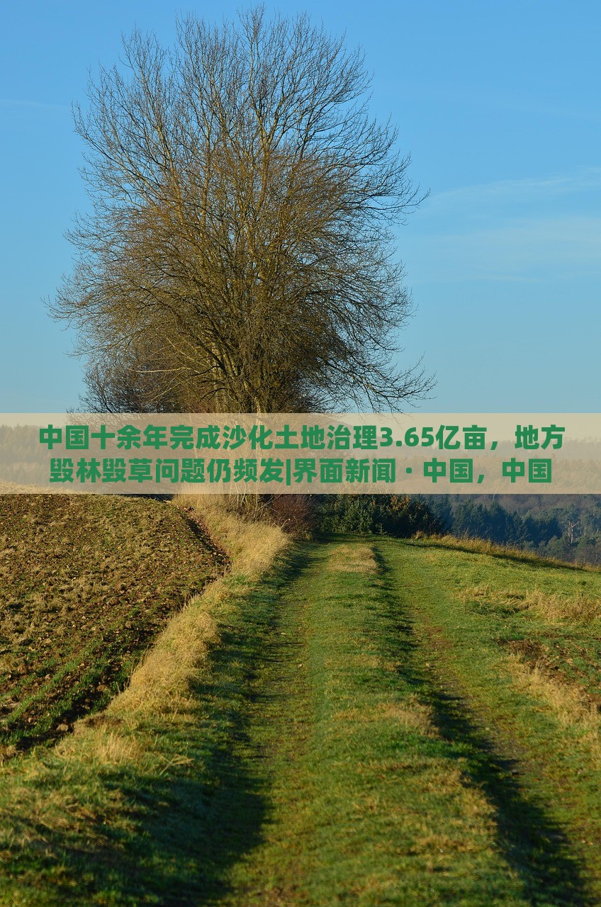 中国十余年完成沙化土地治理3.65亿亩，地方毁林毁草问题仍频发|界面新闻 · 中国，中国沙化土地治理成就显著，地方毁林毁草问题待解